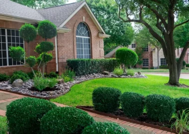 Landscaping and Lawn Care